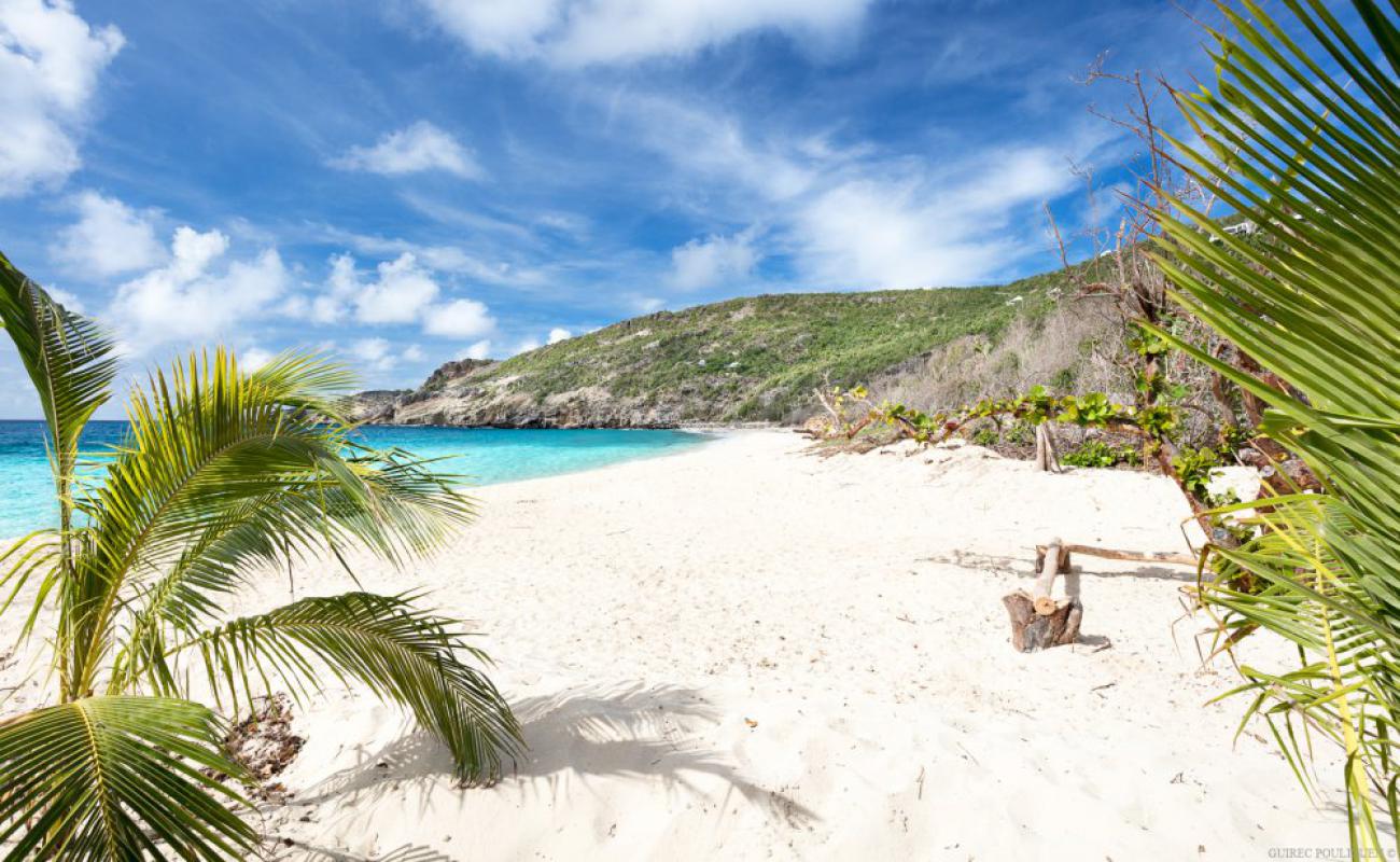 Gouverneur beach'in fotoğrafı i̇nce bej kum yüzey ile