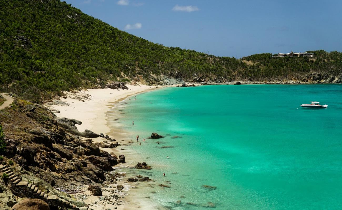 Colombier beach'in fotoğrafı i̇nce bej kum yüzey ile