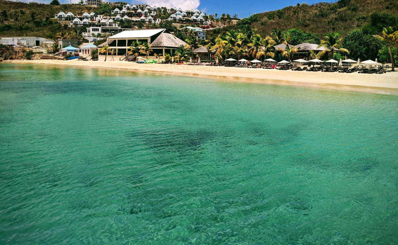 Crocus Bay beach'in fotoğrafı i̇nce bej kum yüzey ile