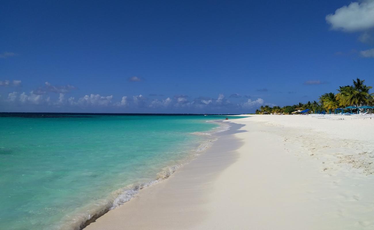 Shoal Bay Plajı'in fotoğrafı i̇nce beyaz kum yüzey ile