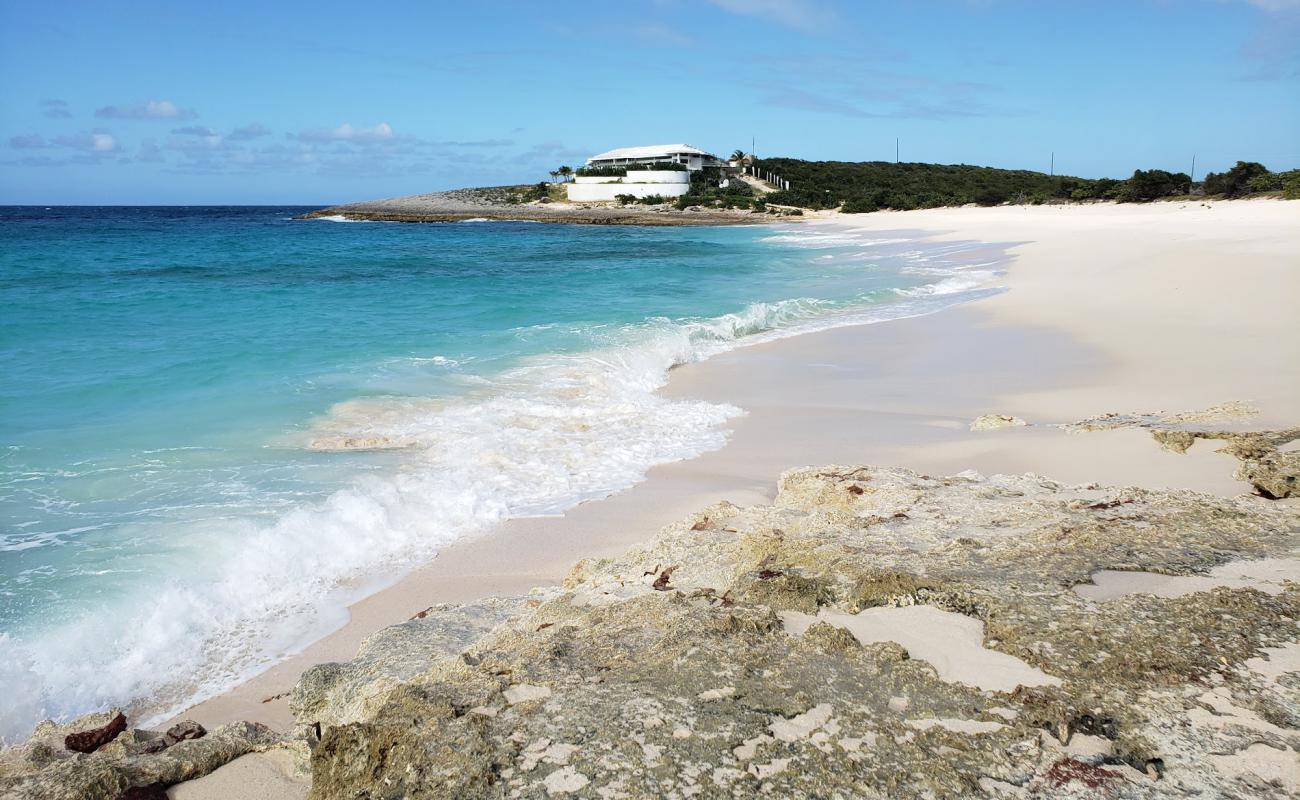 Captain's Bay beach'in fotoğrafı i̇nce bej kum yüzey ile