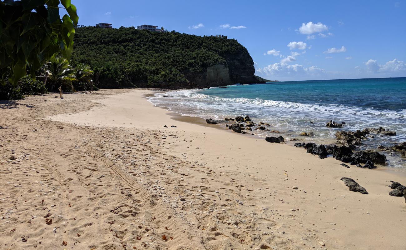 Katouche Bay beach'in fotoğrafı açık bej kum yüzey ile