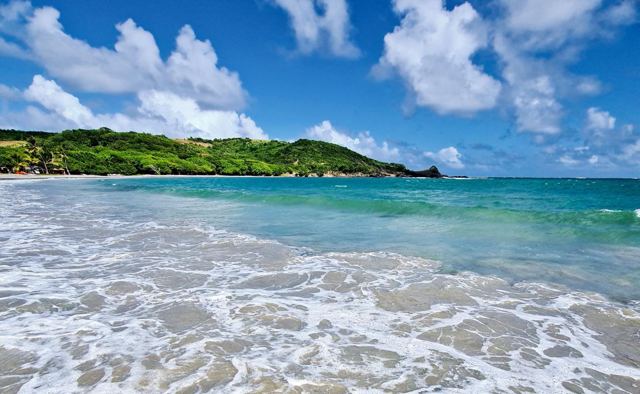 Plantation beach'in fotoğrafı parlak kum yüzey ile