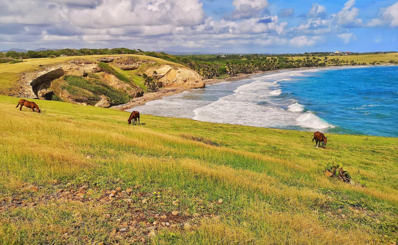 Honeymoon beach'in fotoğrafı parlak kum yüzey ile