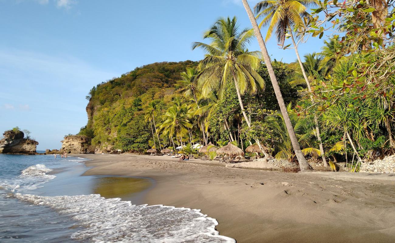 Anse Mamin beach'in fotoğrafı bej kabuklu kum yüzey ile