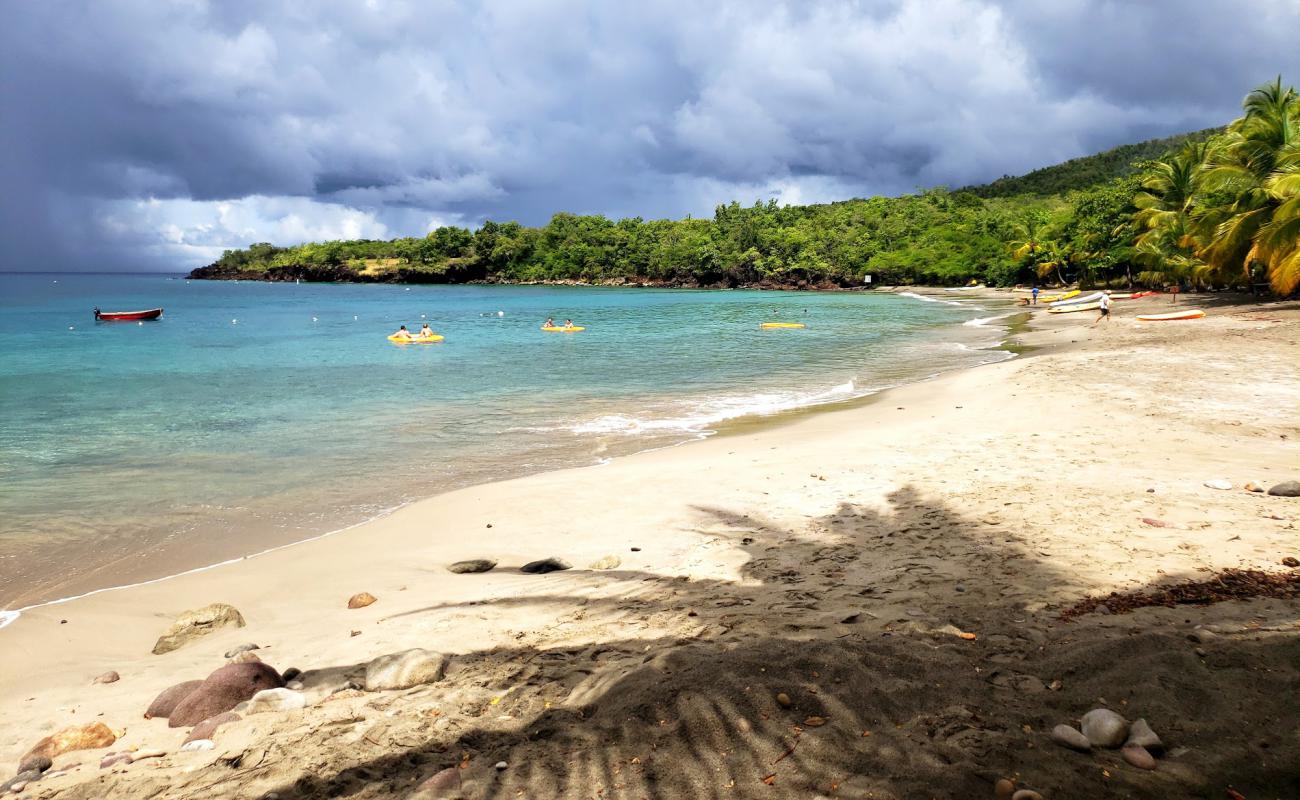 Anse Cochon beach'in fotoğrafı bej kabuklu kum yüzey ile