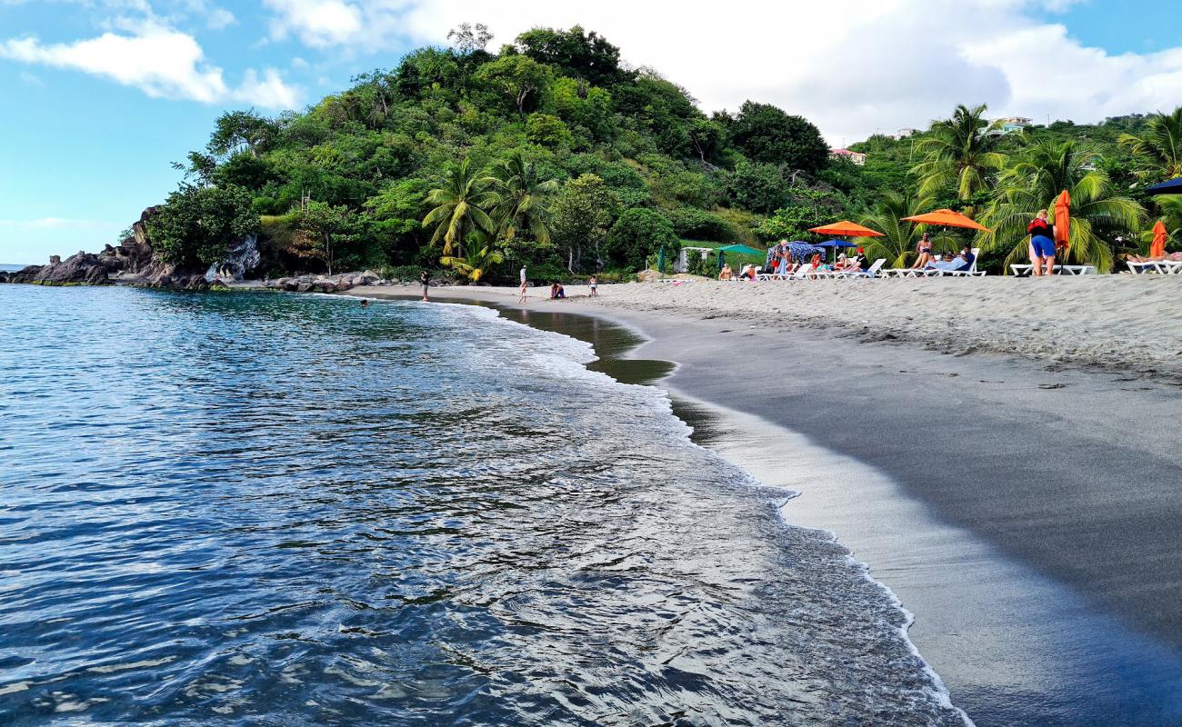 Roseau Bay beach'in fotoğrafı hafif ince çakıl taş yüzey ile