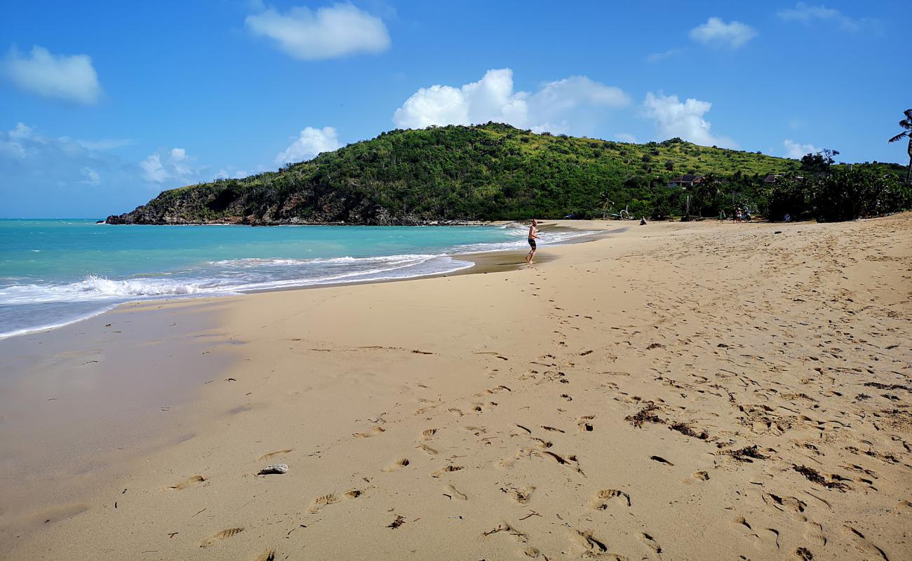 Plage de Happy Bay'in fotoğrafı açık bej kum yüzey ile