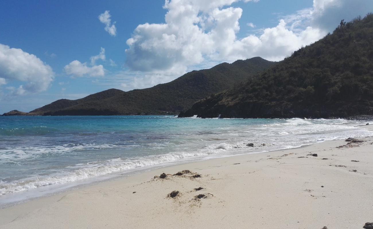 Duck's beach'in fotoğrafı bej kum ve kayalar yüzey ile