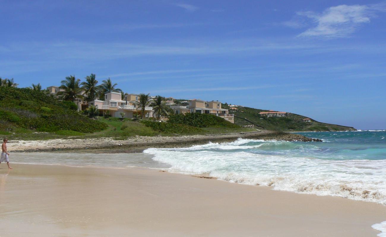 Guana Bay beach'in fotoğrafı açık bej kum yüzey ile