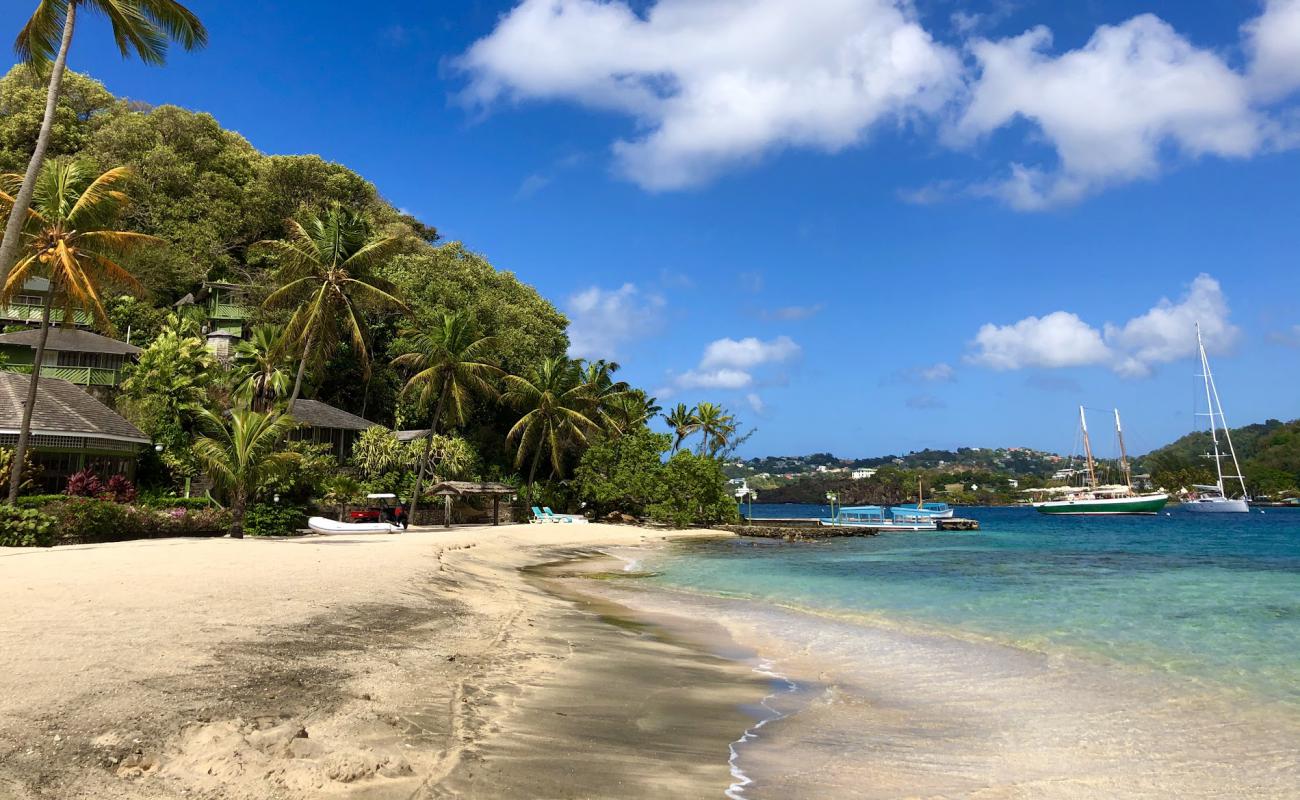 Young Island beach'in fotoğrafı i̇nce bej kum yüzey ile