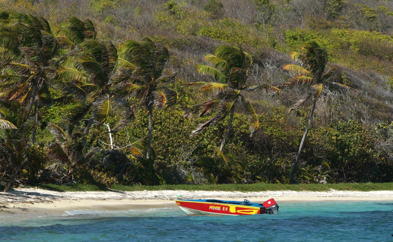 Quatre Isle beach'in fotoğrafı i̇nce bej kum yüzey ile