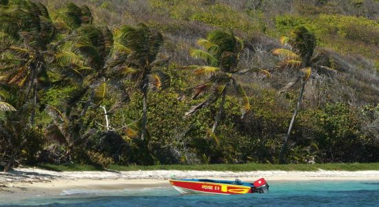 Quatre Isle beach