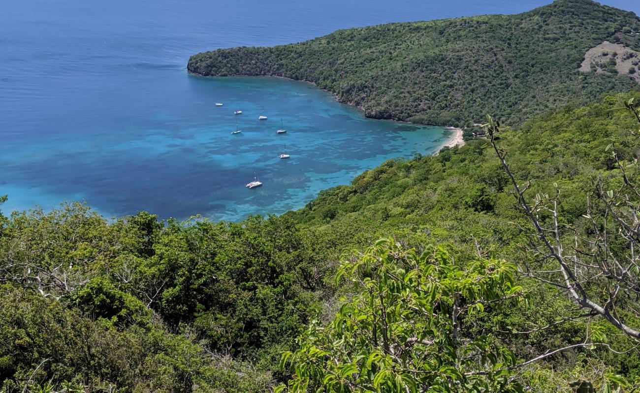 Sunwings beach'in fotoğrafı i̇nce bej kum yüzey ile
