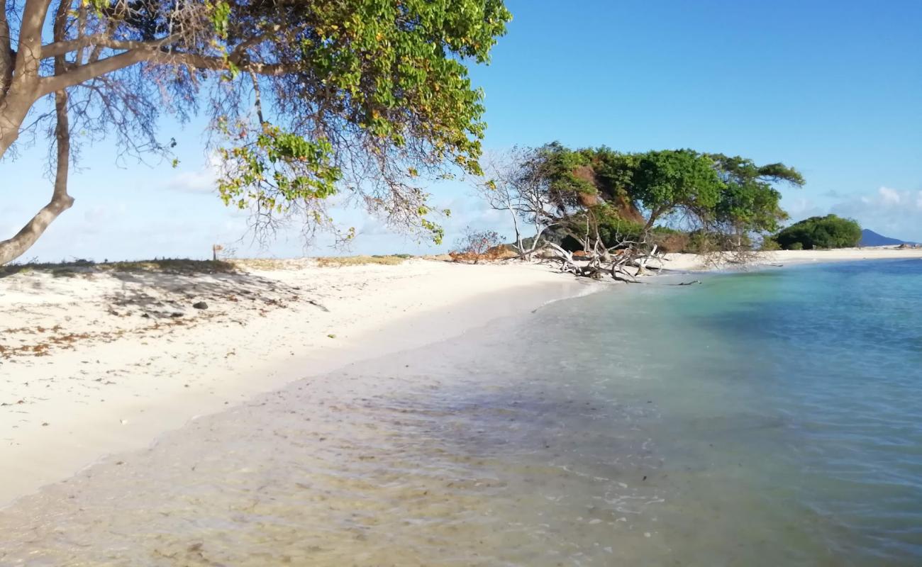 Cambel path beach'in fotoğrafı açık bej kum yüzey ile