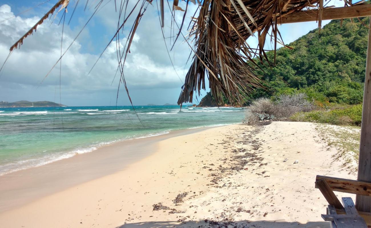Belmont Bay beach'in fotoğrafı beyaz kum yüzey ile