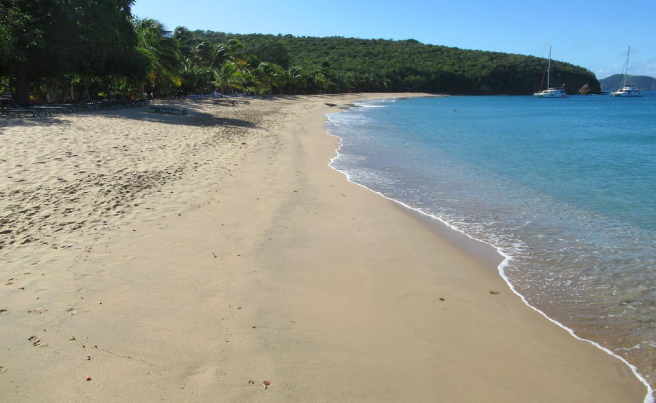 Saline beach'in fotoğrafı açık bej kum yüzey ile
