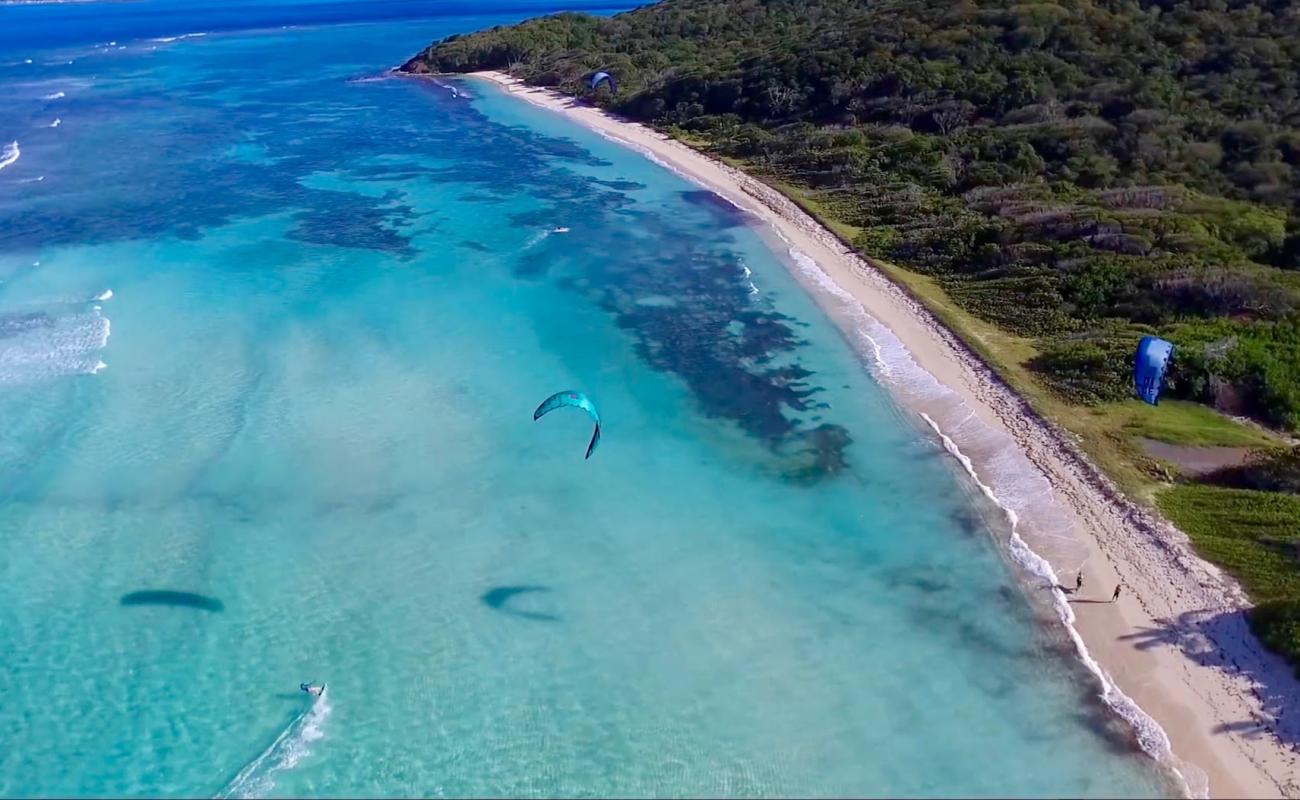 Salt Whistle Bay beach'in fotoğrafı beyaz kum yüzey ile