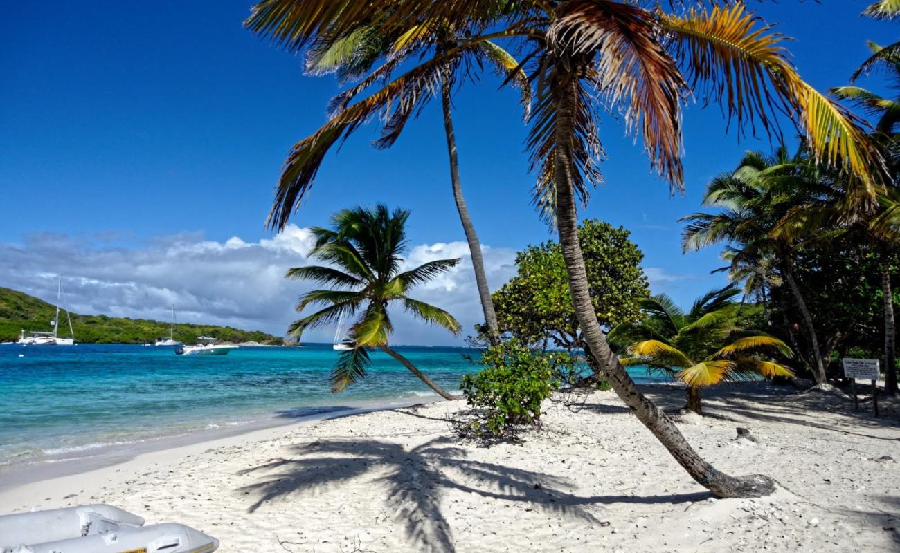 Petit Rameau beach'in fotoğrafı i̇nce bej kum yüzey ile