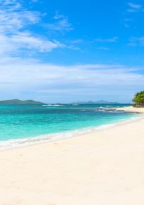 Palm Island