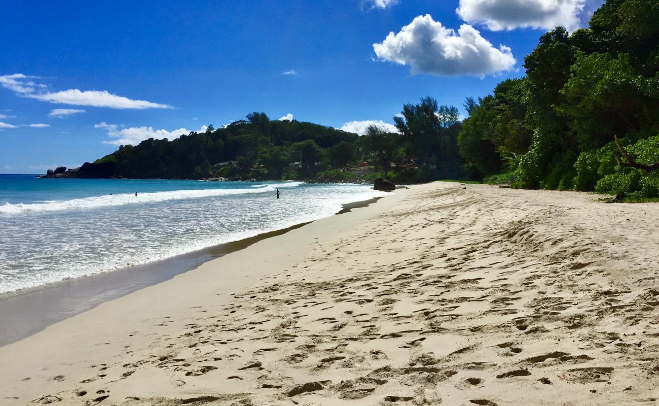 Grand Anse Beach'in fotoğrafı i̇nce bej kum yüzey ile