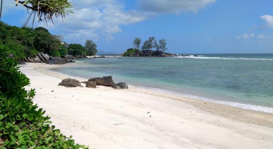 Port Glaud Lagoon Beach