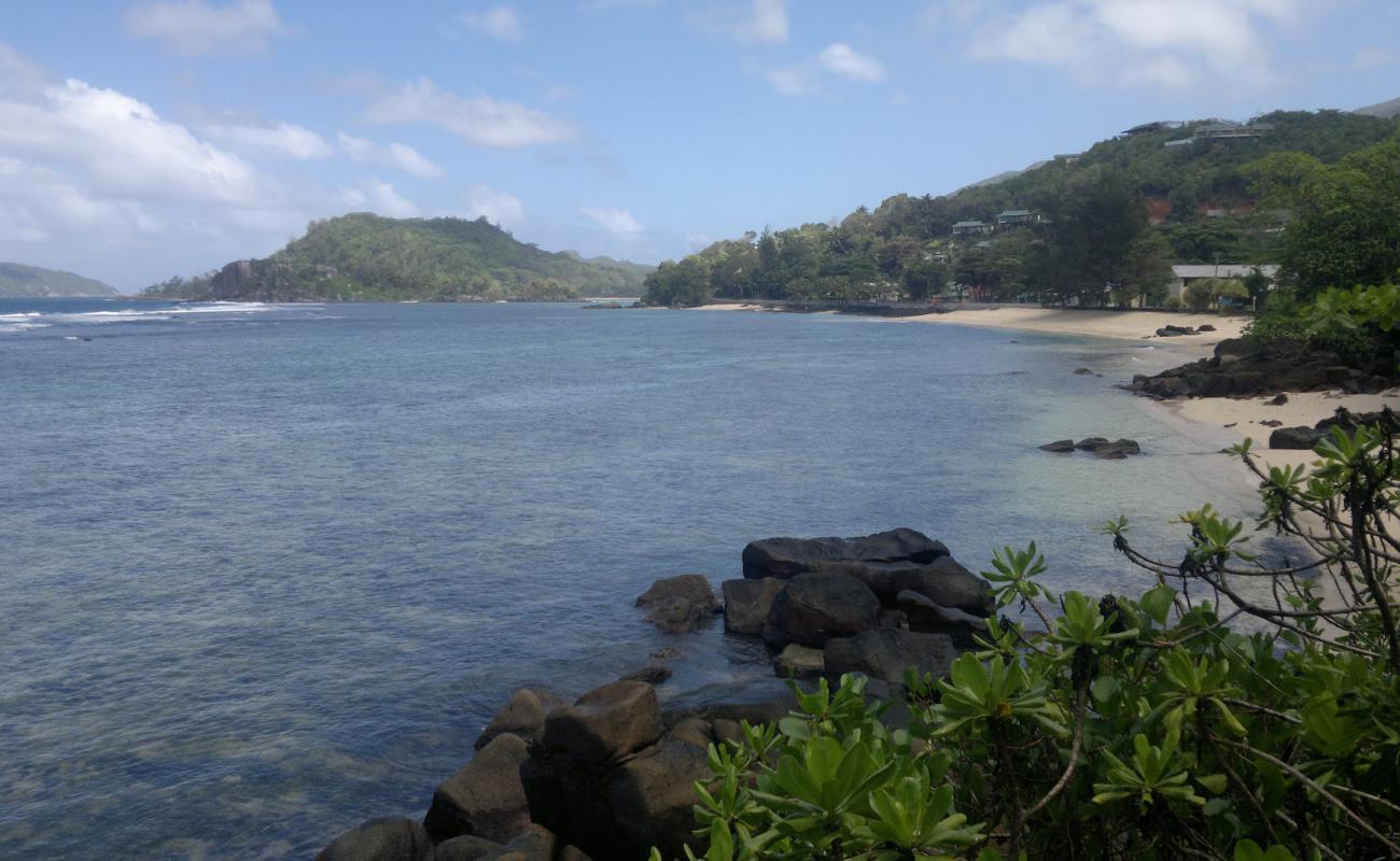 West Coast Road Beach'in fotoğrafı parlak kum yüzey ile