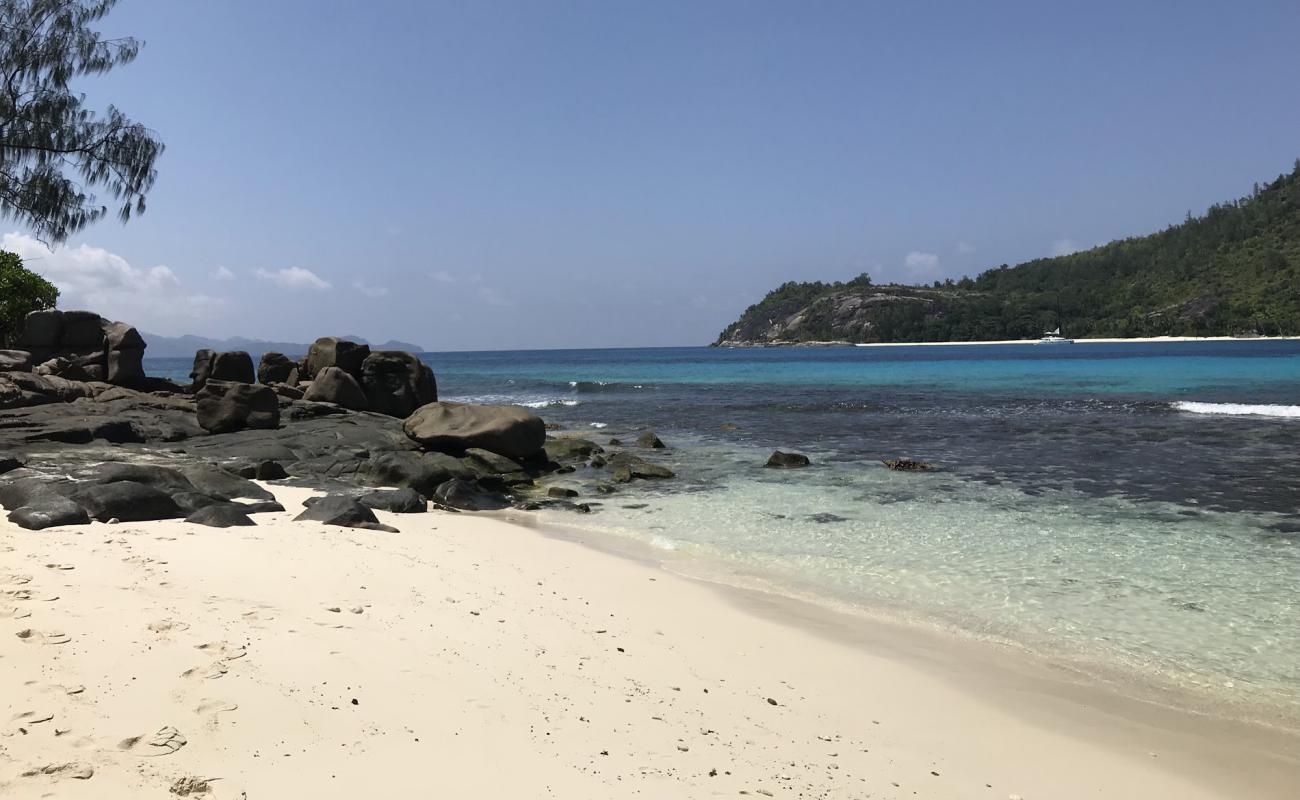 Lans Angle Beach'in fotoğrafı i̇nce bej kum yüzey ile