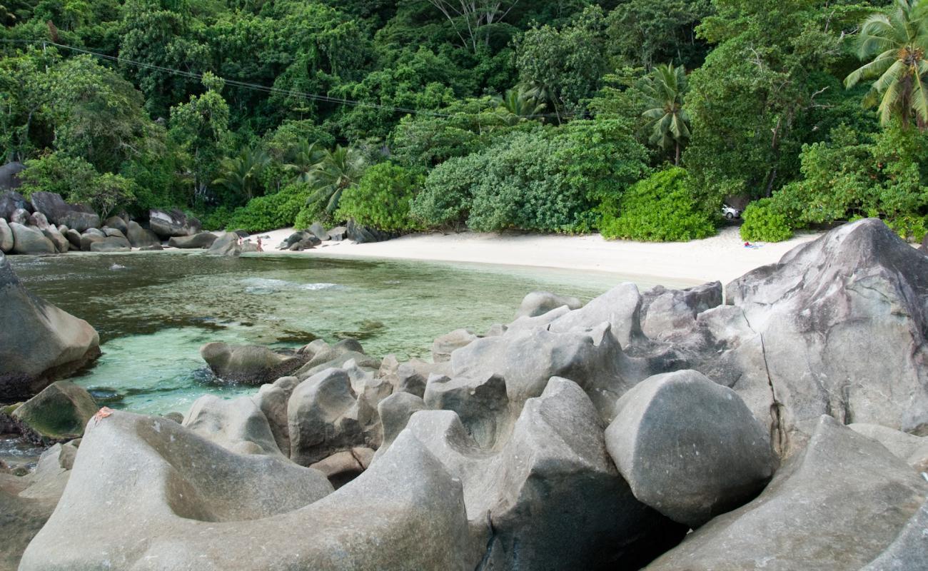 Wild beach'in fotoğrafı i̇nce bej kum yüzey ile
