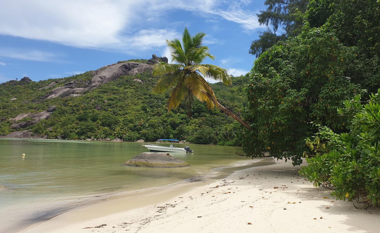 Baie Ternay Beach'in fotoğrafı i̇nce bej kum yüzey ile