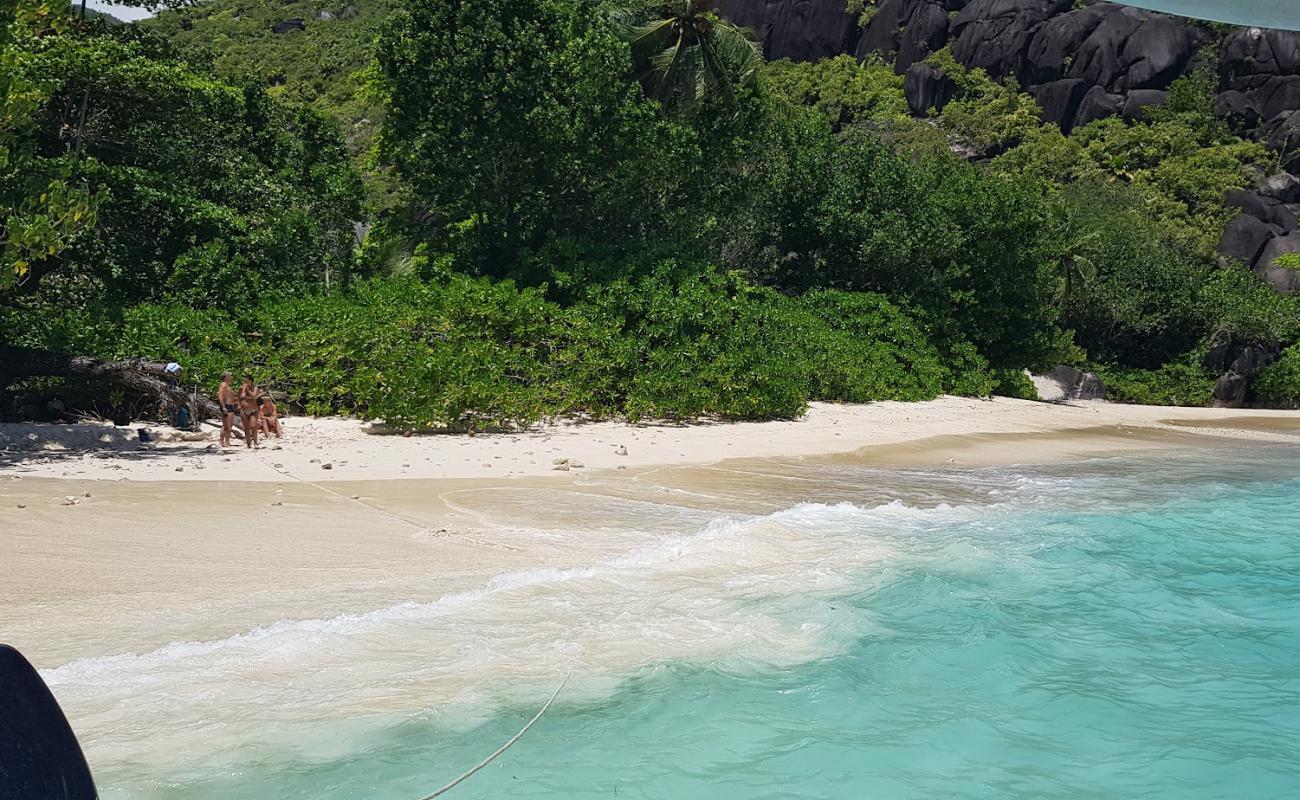 Anse Du Riz Beach'in fotoğrafı i̇nce bej kum yüzey ile