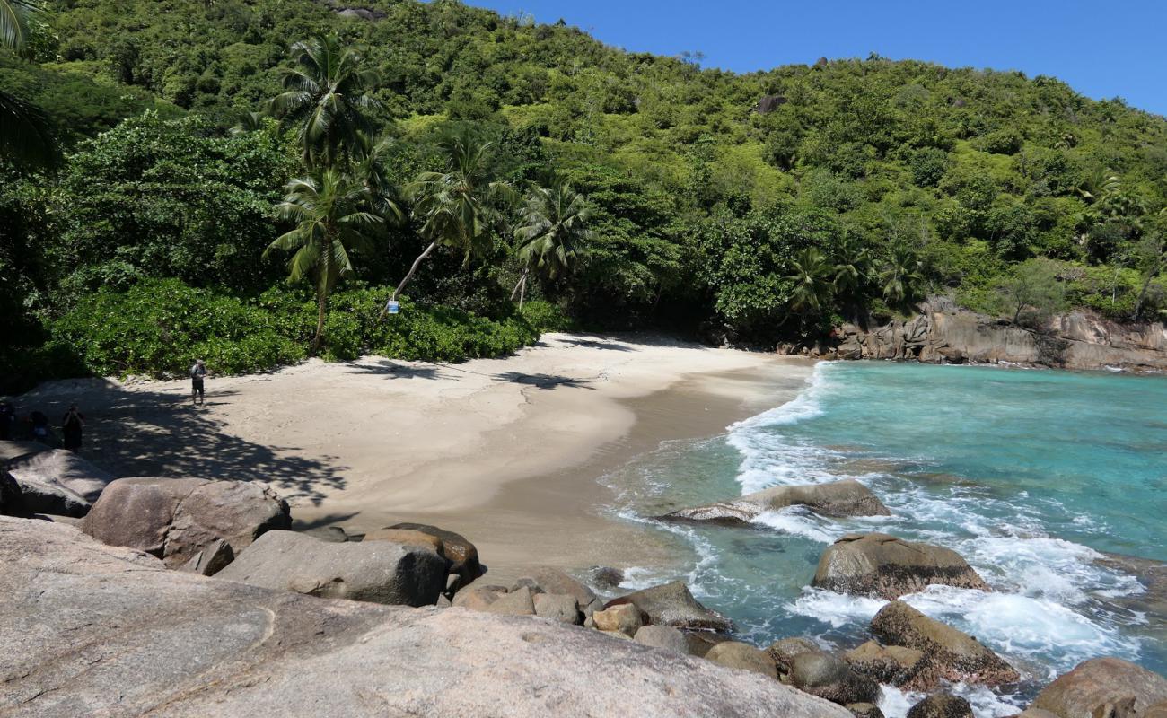 Anse Major Beach'in fotoğrafı parlak ince kum yüzey ile