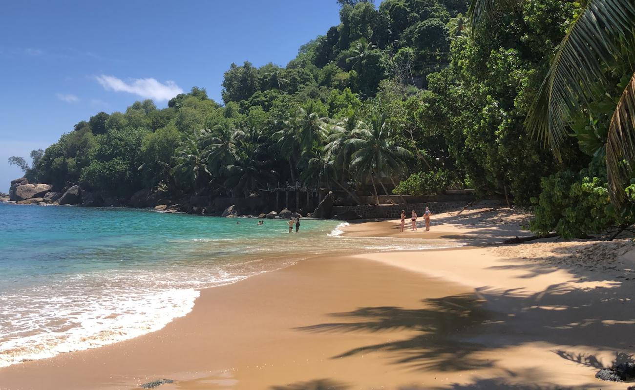 Top Soleil Plajı'in fotoğrafı parlak ince kum yüzey ile