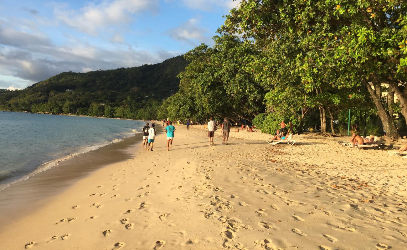 Anse Aux Pins Beach'in fotoğrafı i̇nce bej kum yüzey ile