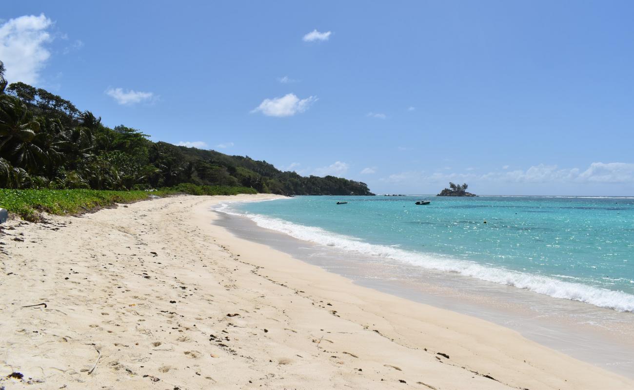 Anse Royale Bay'in fotoğrafı i̇nce bej kum yüzey ile