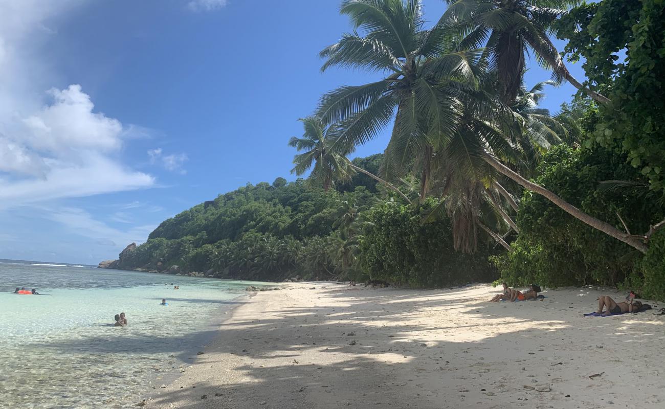 Anse Parnell Beach'in fotoğrafı i̇nce bej kum yüzey ile