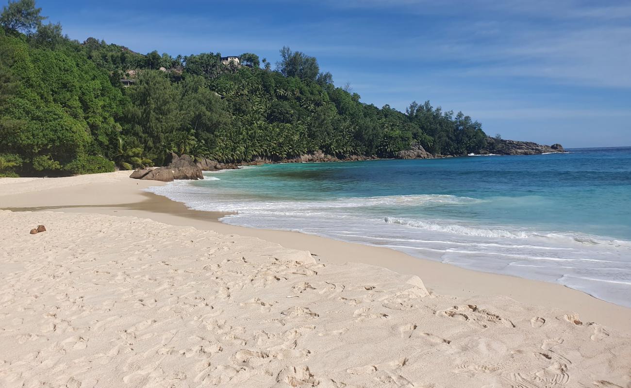 Anse Forbans Beach'in fotoğrafı i̇nce bej kum yüzey ile