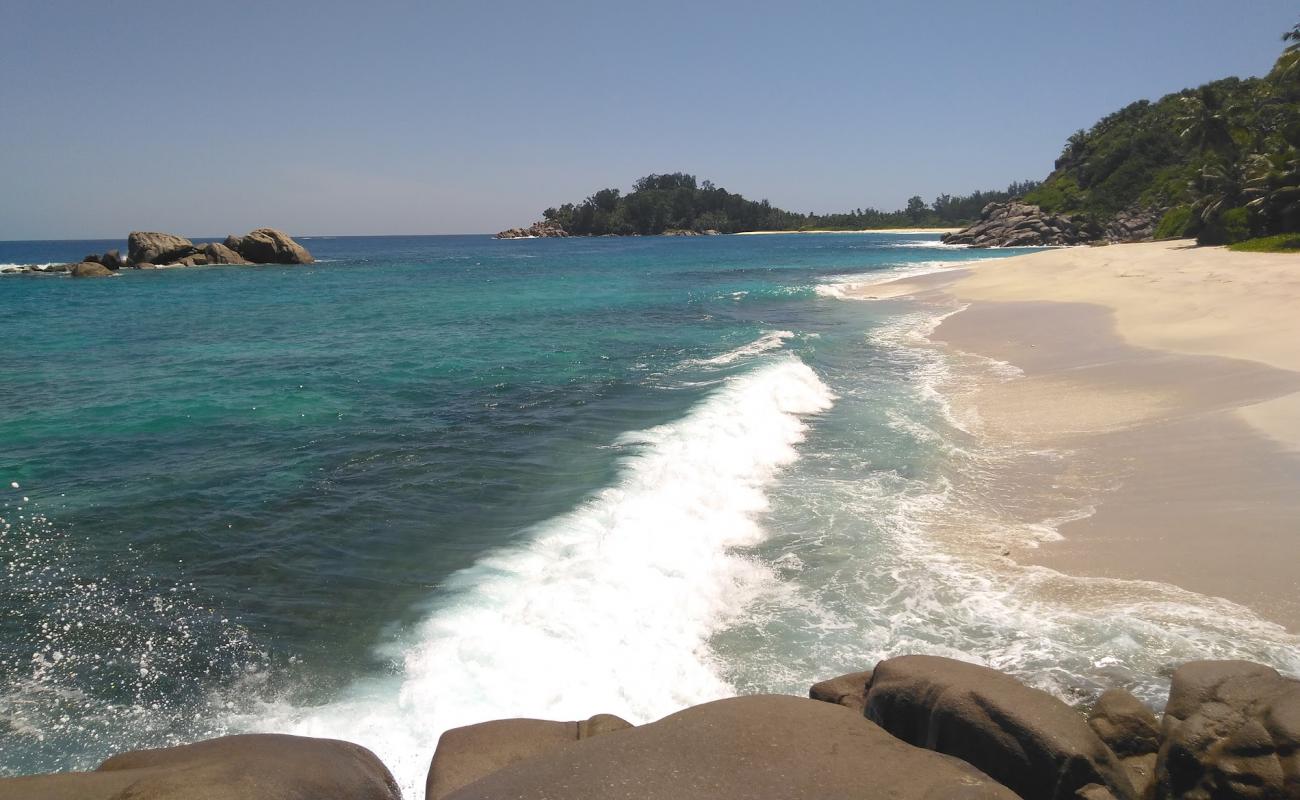 Anse Petit Boileau Beach'in fotoğrafı i̇nce bej kum yüzey ile