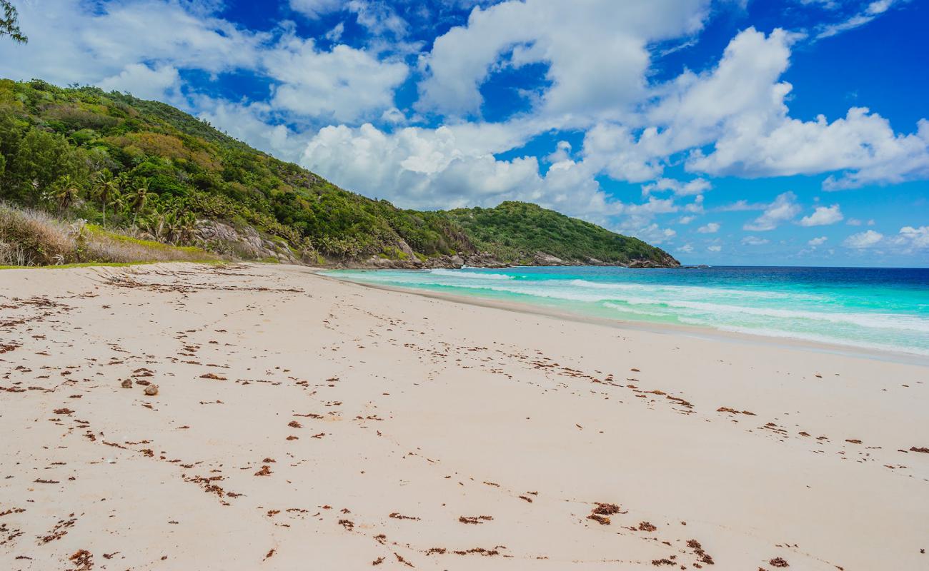 Police Bay Beach'in fotoğrafı i̇nce bej kum yüzey ile