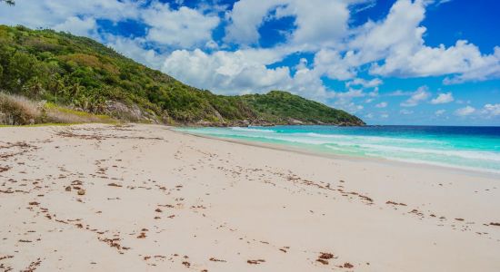 Police Bay Beach