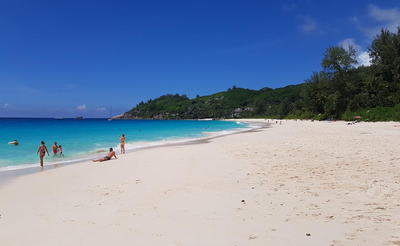 Anse Intendance Beach'in fotoğrafı i̇nce bej kum yüzey ile