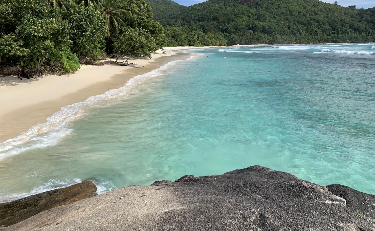 Baie Lazare Plajı'in fotoğrafı beyaz ince kum yüzey ile