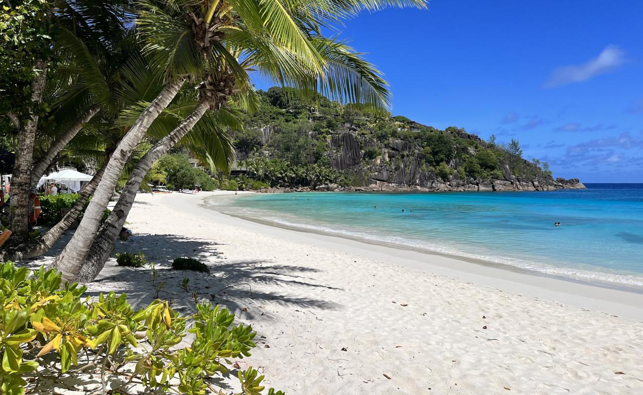 Petite Anse Plajı'in fotoğrafı beyaz ince kum yüzey ile