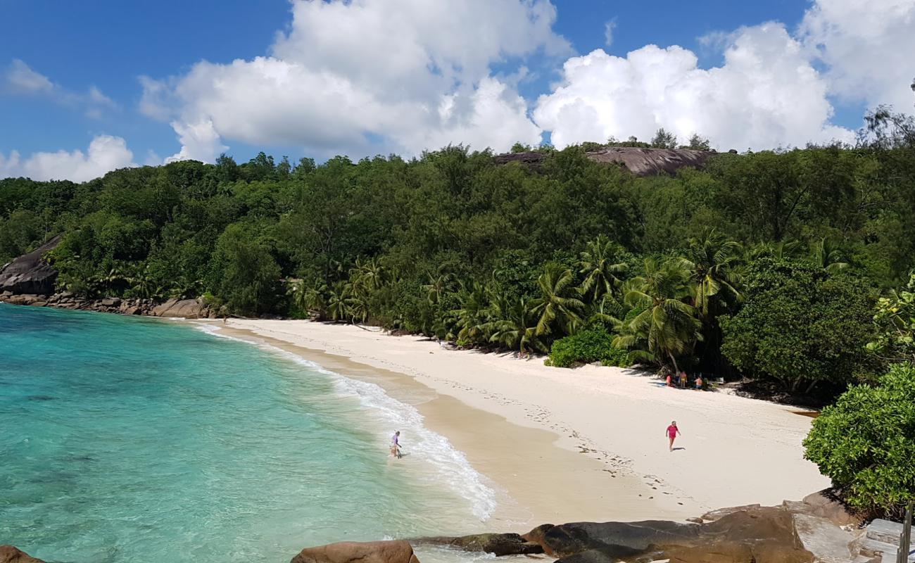 Anse Soleil Plajı'in fotoğrafı parlak ince kum yüzey ile