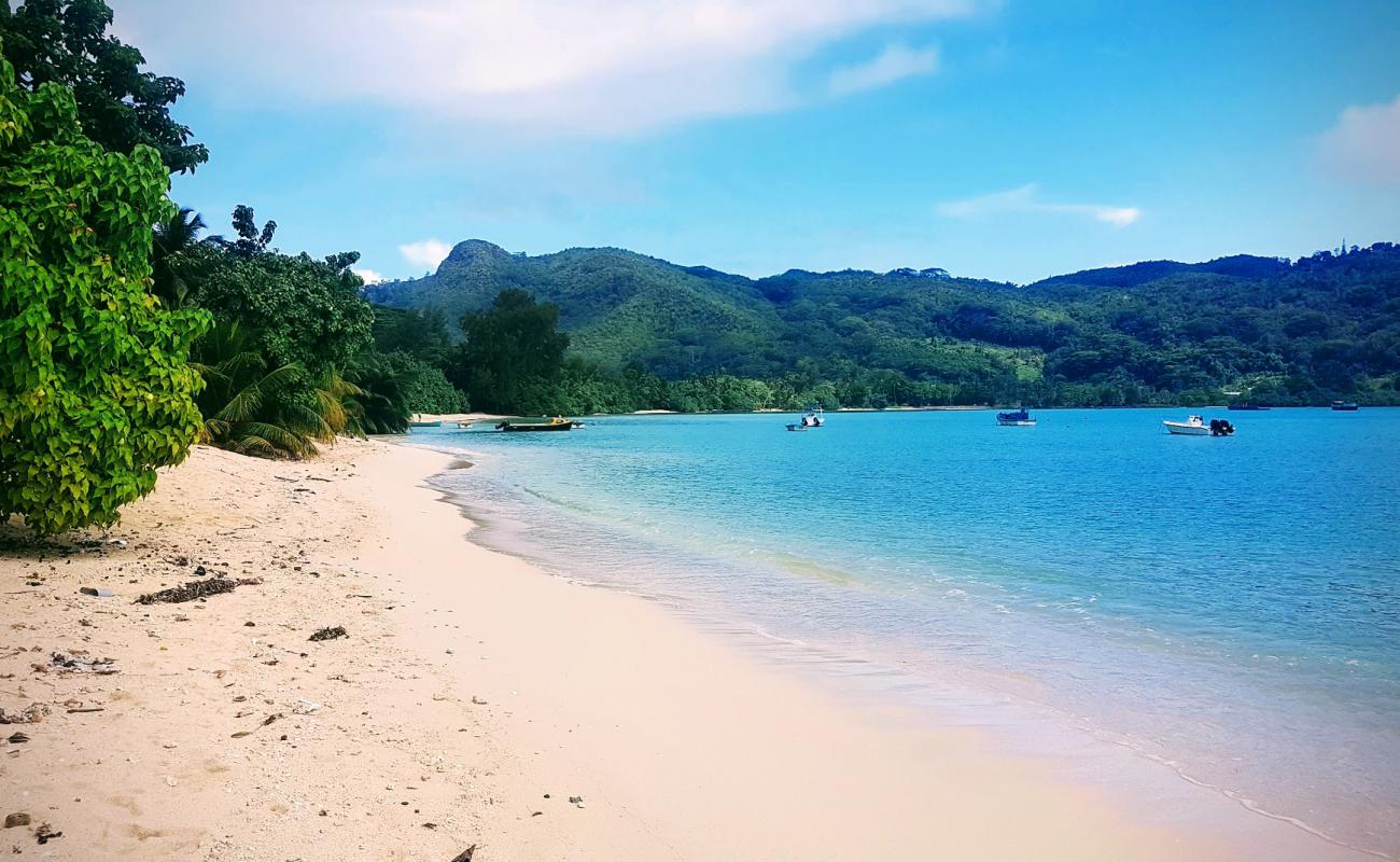 Anse Boileau Beach'in fotoğrafı i̇nce bej kum yüzey ile