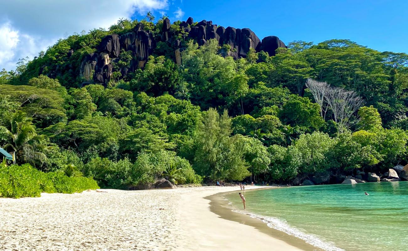 Anse Louis Beach'in fotoğrafı i̇nce bej kum yüzey ile