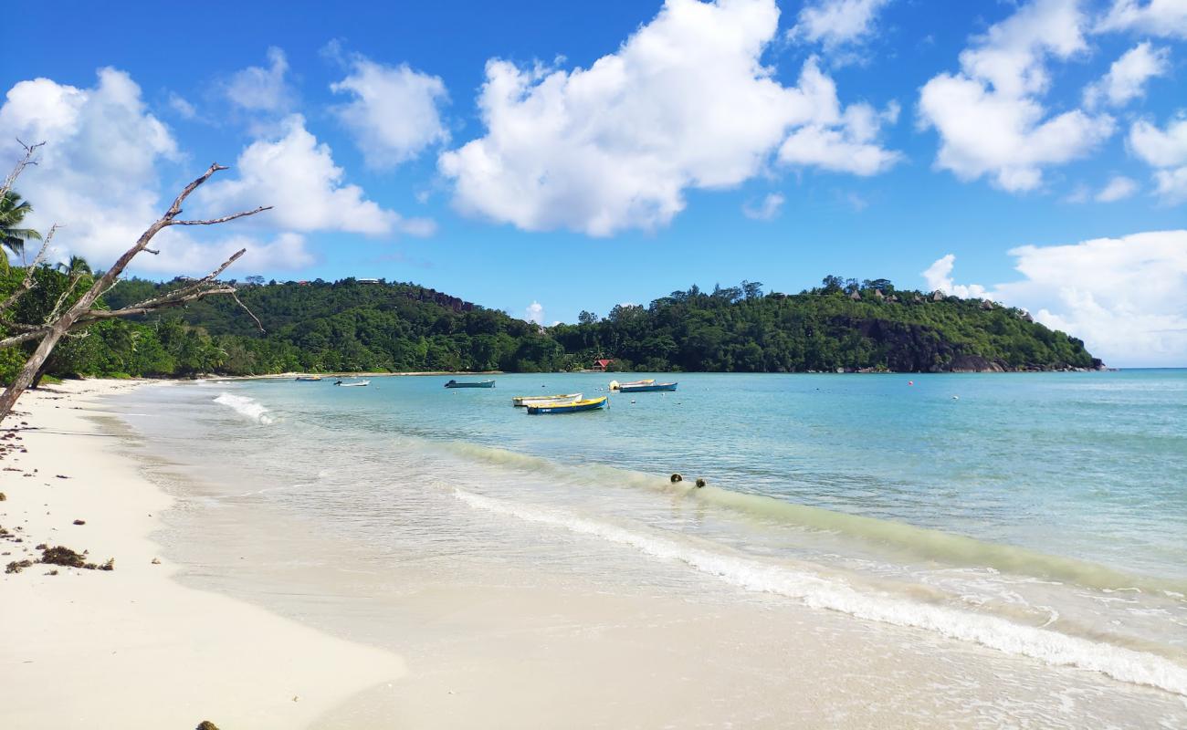 Anse Boileau Beach'in fotoğrafı açık bej kum yüzey ile