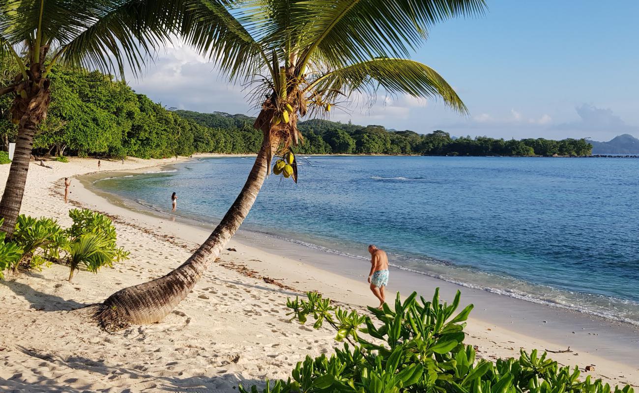 Anse Barbarons Beach'in fotoğrafı parlak kum yüzey ile