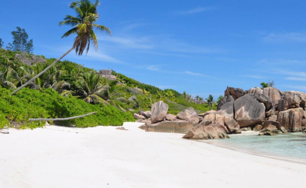 South Point Cerf Island Beach'in fotoğrafı i̇nce bej kum yüzey ile