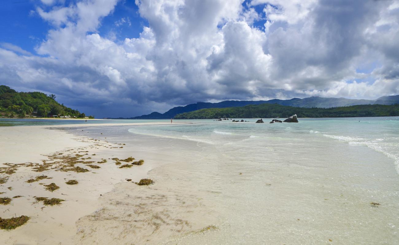 Long Island Beach'in fotoğrafı i̇nce bej kum yüzey ile